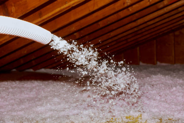 Best Specialty Insulation in Gotha, FL